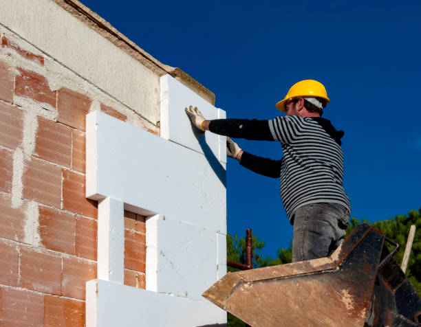 Best Insulation Replacement Services  in Fairfax, SC