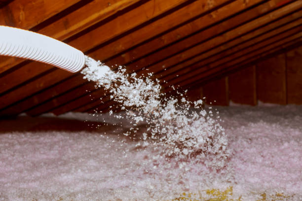 Best Wall Insulation Contractor  in Fairfax, SC
