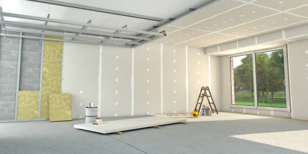 Best Insulation Removal  in Fairfax, SC